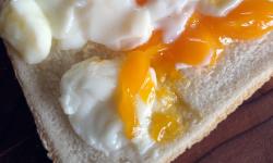 Featured image of post The Actual Best Sous Vide Eggs... ™